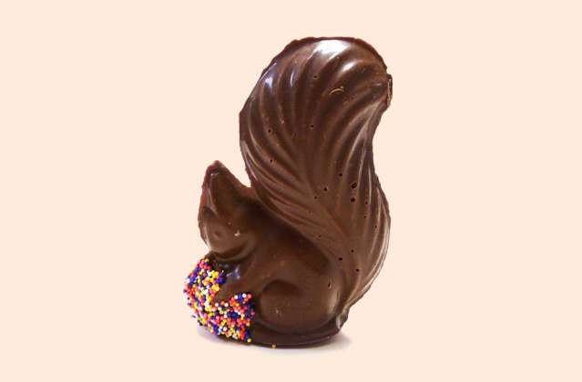 Chocolate Squirrel: click to enlarge